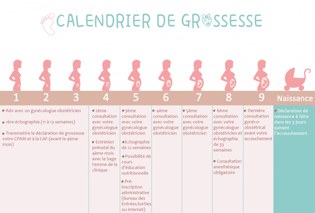 Le Calendrier De Grossesse Clinique Rive Gauche